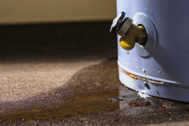 Best Emergency water damage restoration  in Churchill, MT