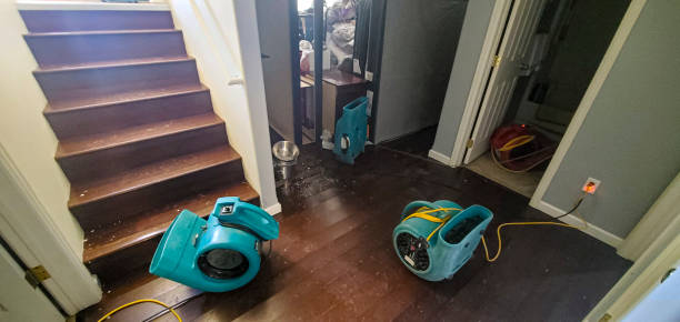 Best Water damage restoration near me  in Churchill, MT