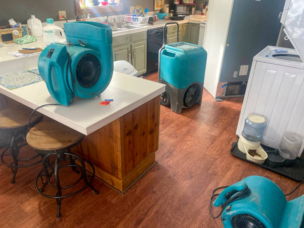 Best Basement water damage restoration  in Churchill, MT