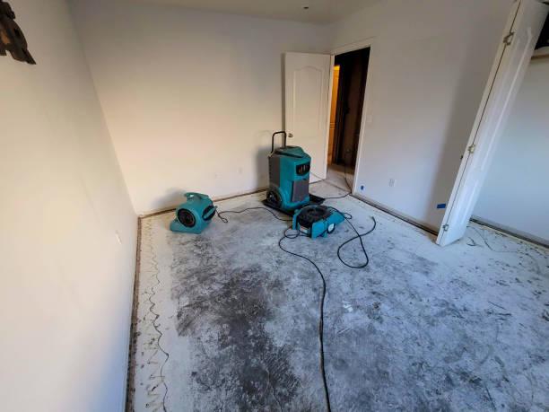 Best Water damage restoration near me  in Churchill, MT