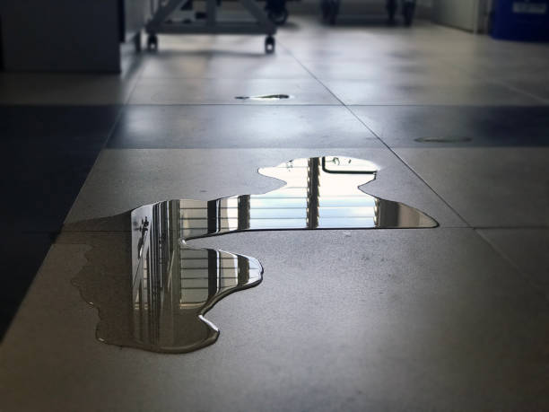 Best Professional water damage repair  in Churchill, MT