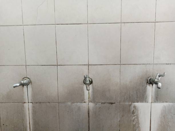 Best 24-hour water damage restoration  in Churchill, MT