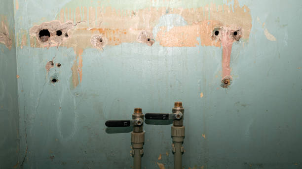Best Water damage restoration experts  in Churchill, MT
