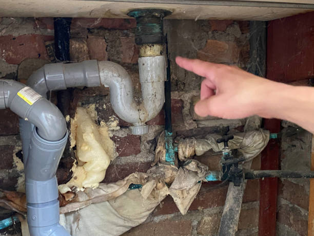 Best Water damage restoration services  in Churchill, MT