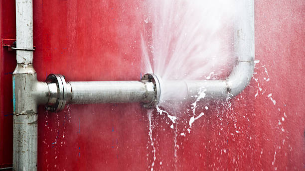 Best Carpet water damage restoration  in Churchill, MT